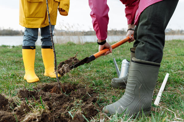 An image of children planting trees
